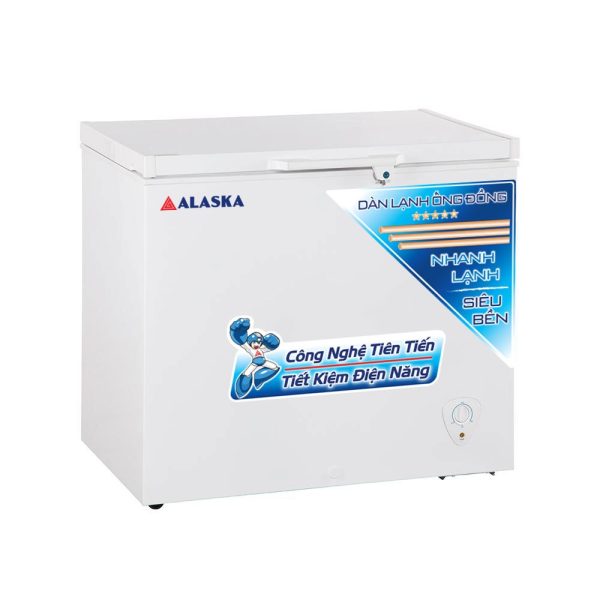 Giới thiệu tủ đông Alaska BD-300C